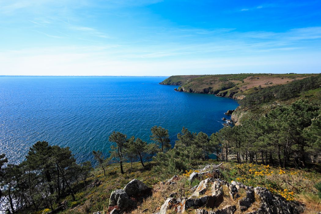 Vue aérienne épurée et spectaculaire de la côte sauvage de Rostudel en Crozon, où falaises fleuries et bleu azur se rencontrent.