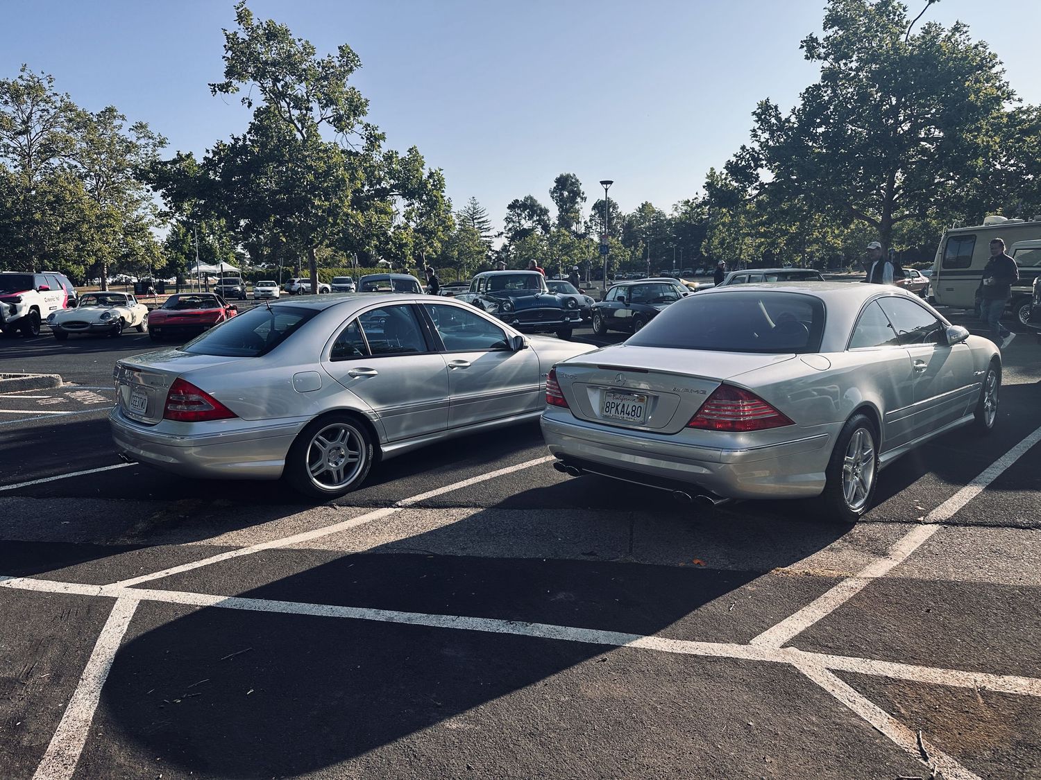 A silver C32 AMG sedan parked next to a CL55 AMG coupe at the Marin County Civic Center, for the Pre-Stage gathering.