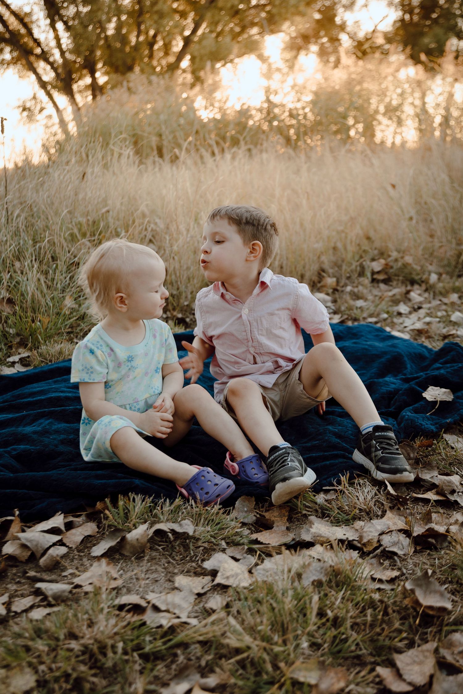 A Paxton, Nebraska lifestyle family session siblings sitting together on a navy blue blanket in a field of tall grass at sunset.