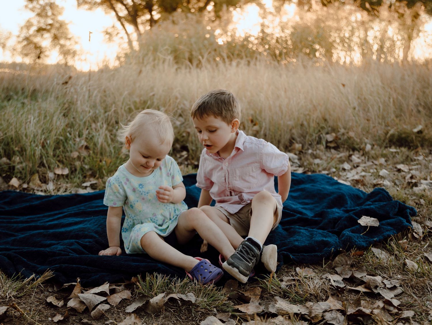 A Paxton, Nebraska lifestyle family session siblings sit together on a navy blue blanket in a field of tall grass during golden hour sunset.