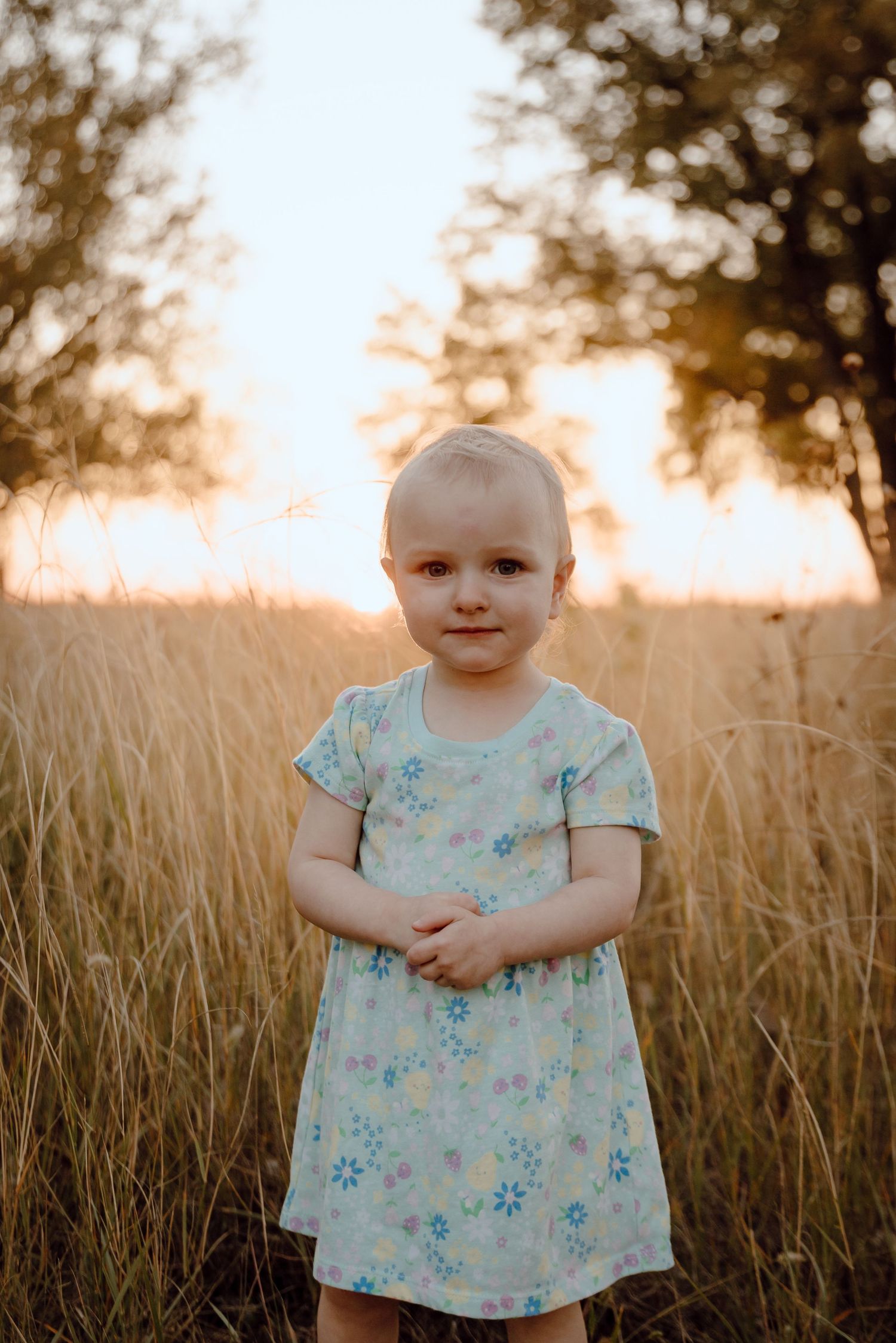 A Paxton, Nebraska lifestyle family session child in a floral dress stands in a golden wheat field at sunset.