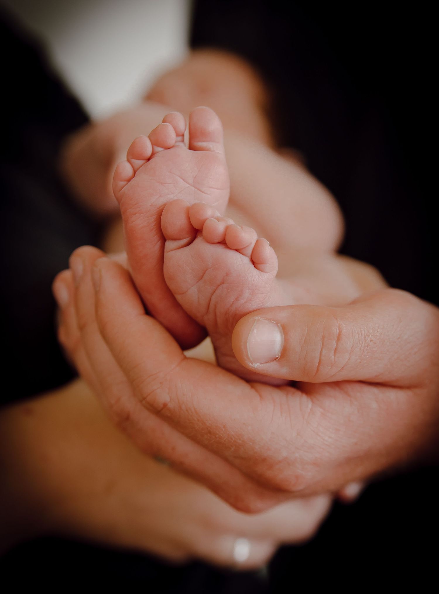 A North Platte, Nebraska lifestyle newborn session tiny baby feet being gently cradled in parent's hands.