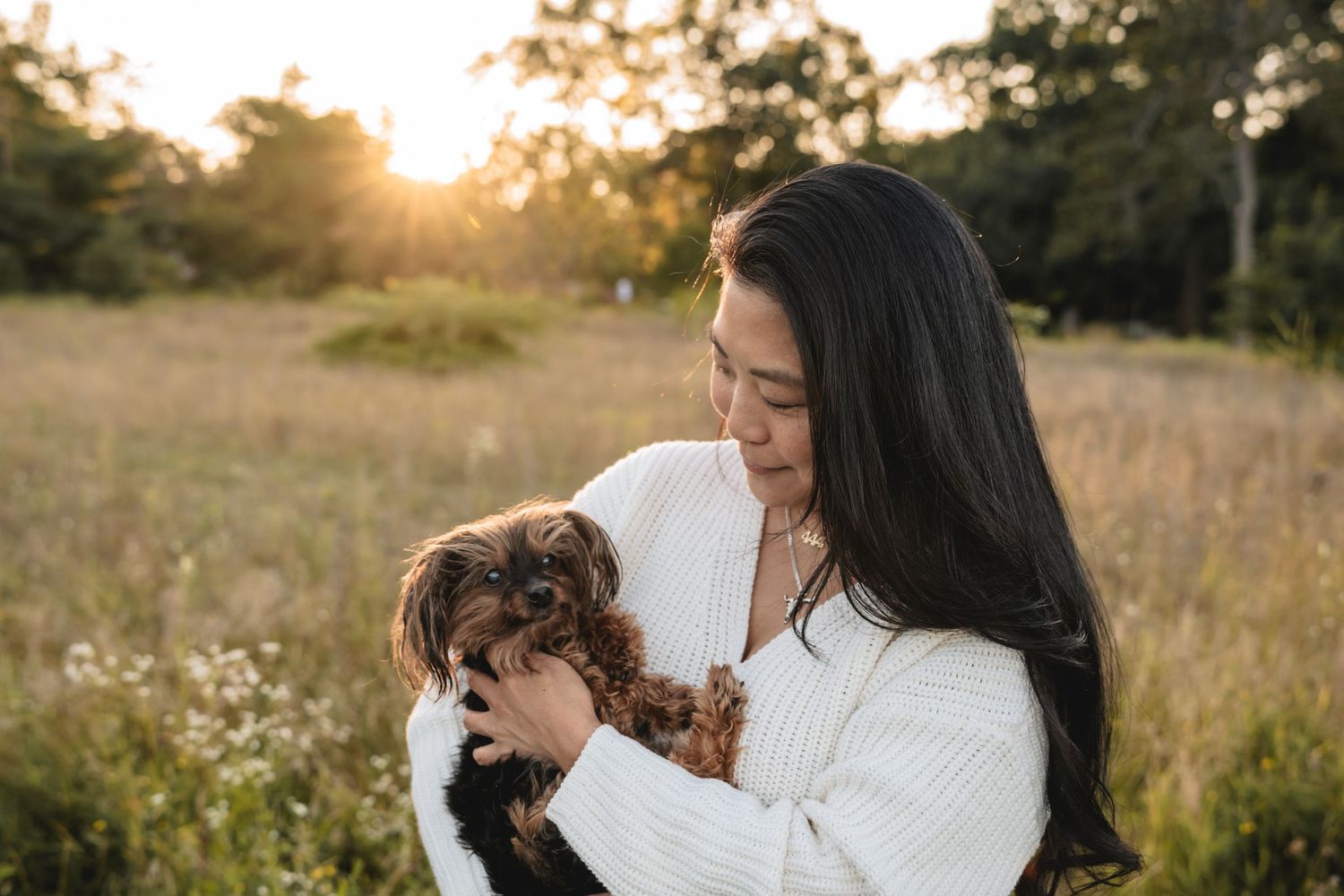 Young woman in white sweater holding a small Yorkshire Terrier dog in a sunlit meadow at golden hour.