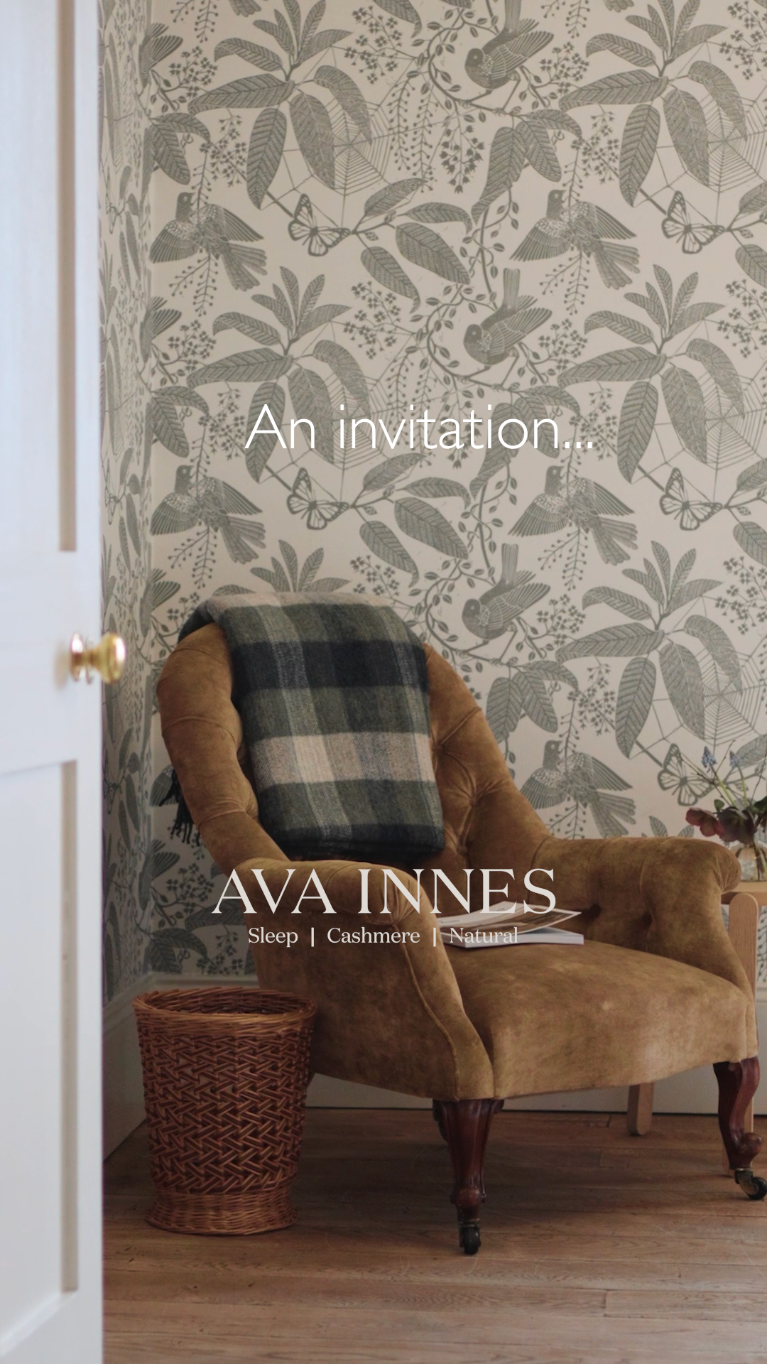 A still from an Ava Innes campaign - shot near Inverness.