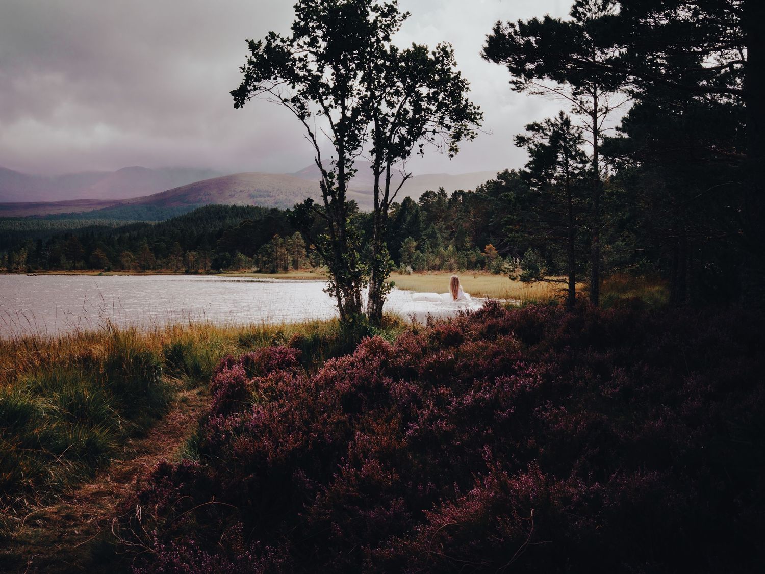 Hero image of a bed against the banks of Loch Morlich for Ava Innes