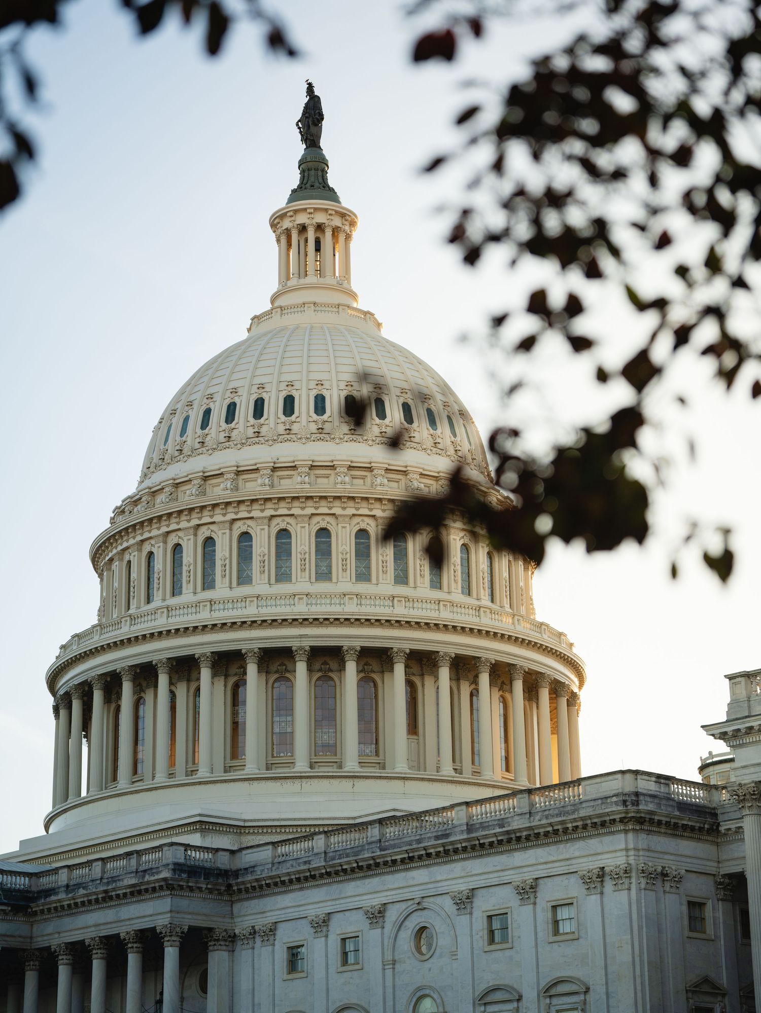 Exterior view of the US Capitol building dome with tree branches in foreground.