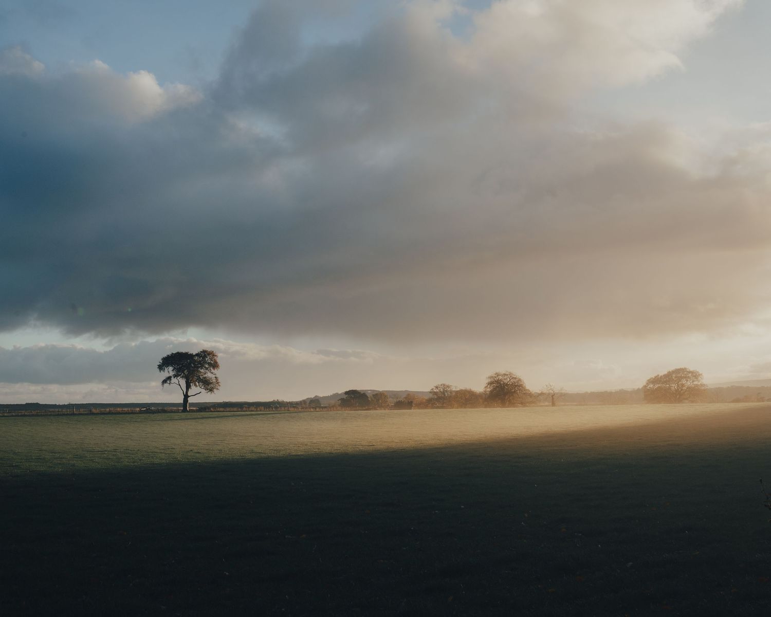 A lone tree stands silhouetted against a misty sunset on a rural horizon.