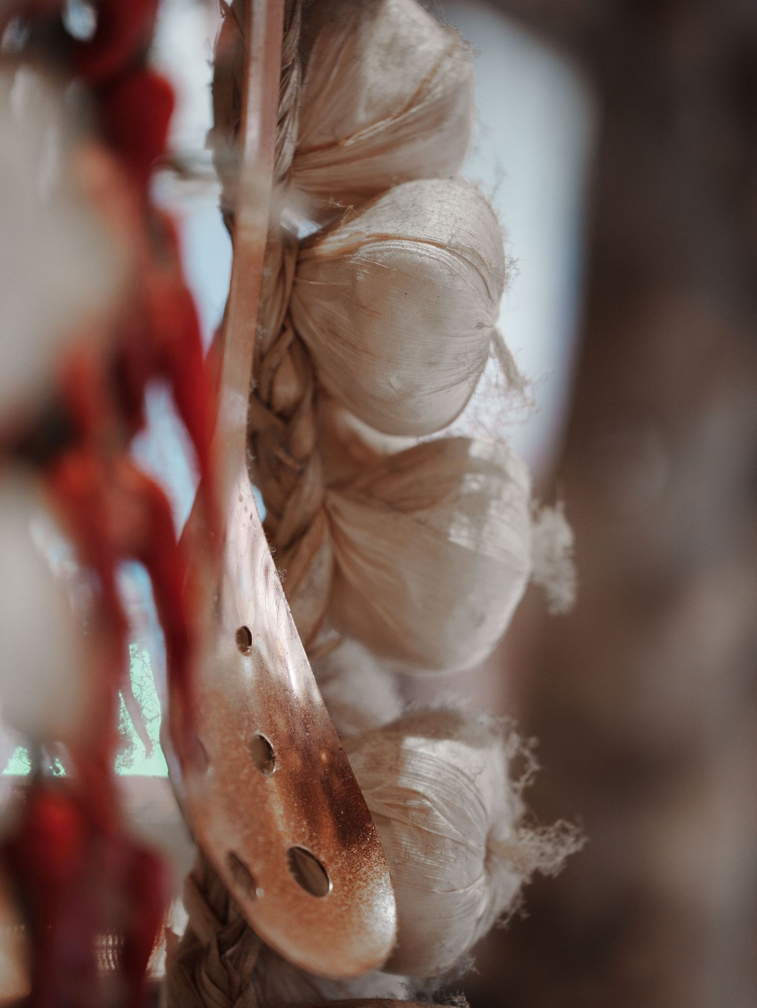 Macro shot of Garlic and Chilli from Little Tuscany, Glasgow