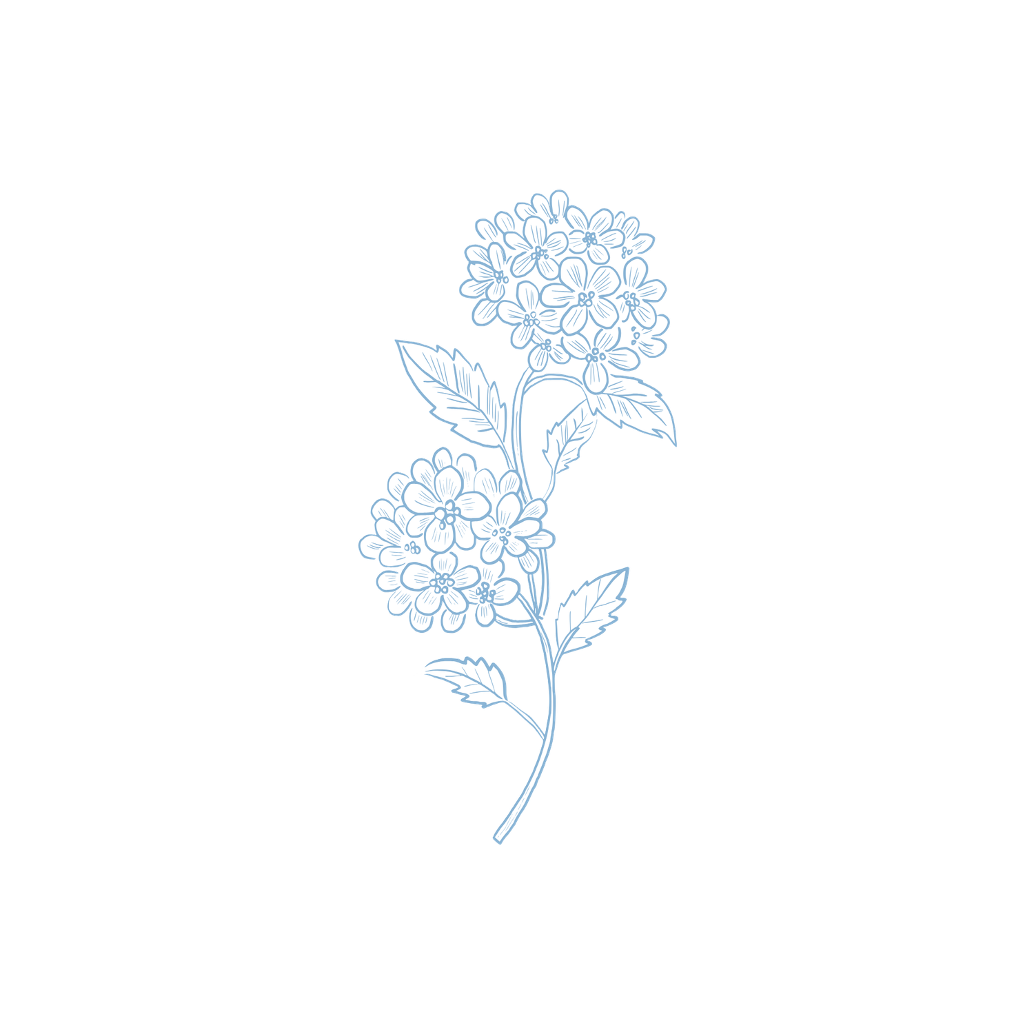 Hydrangea floral logo design