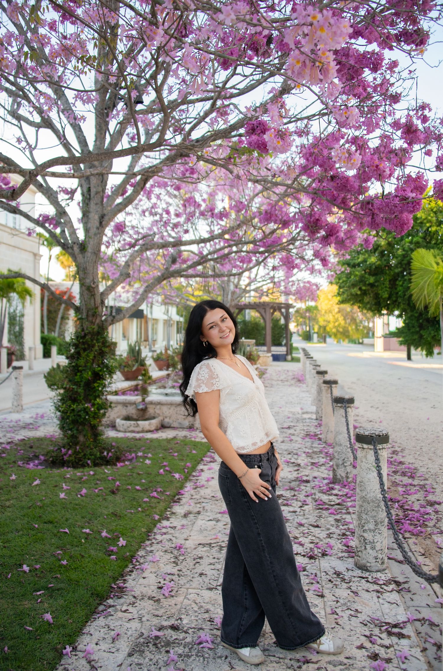 Pink cherry blossom petals blanket the ground beneath blooming trees in a peaceful urban setting.