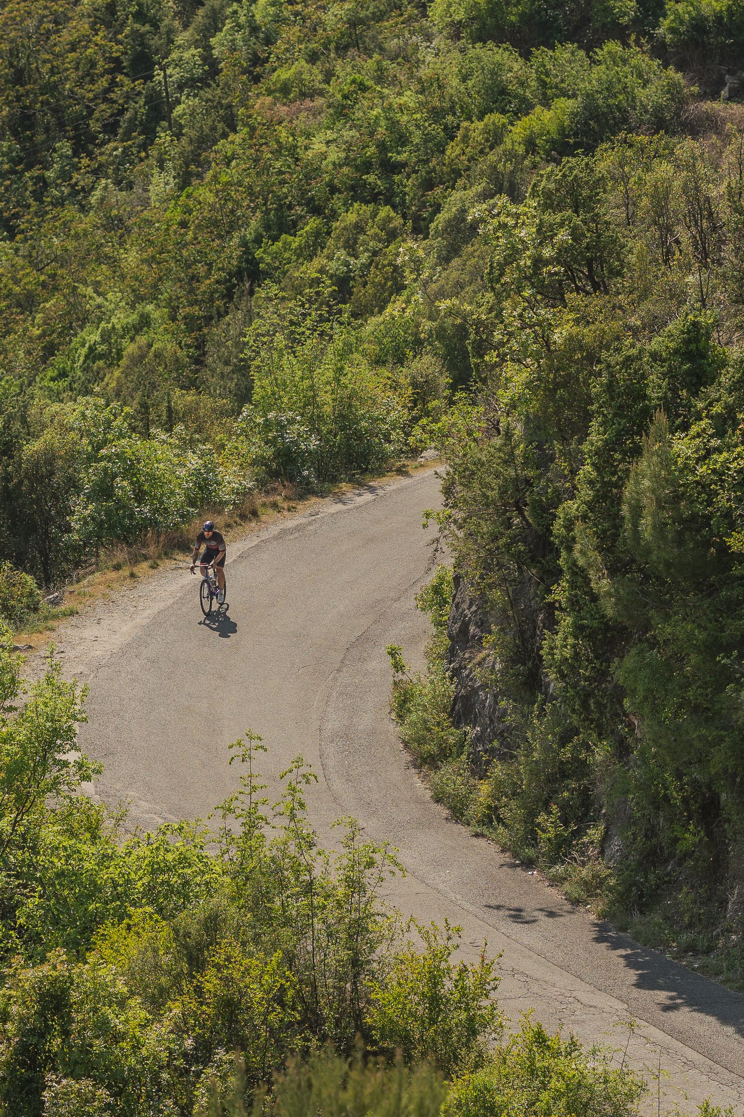 Cyclist riding on a winding mountain road surrounded by lush green trees and vegetation on a sunny day.