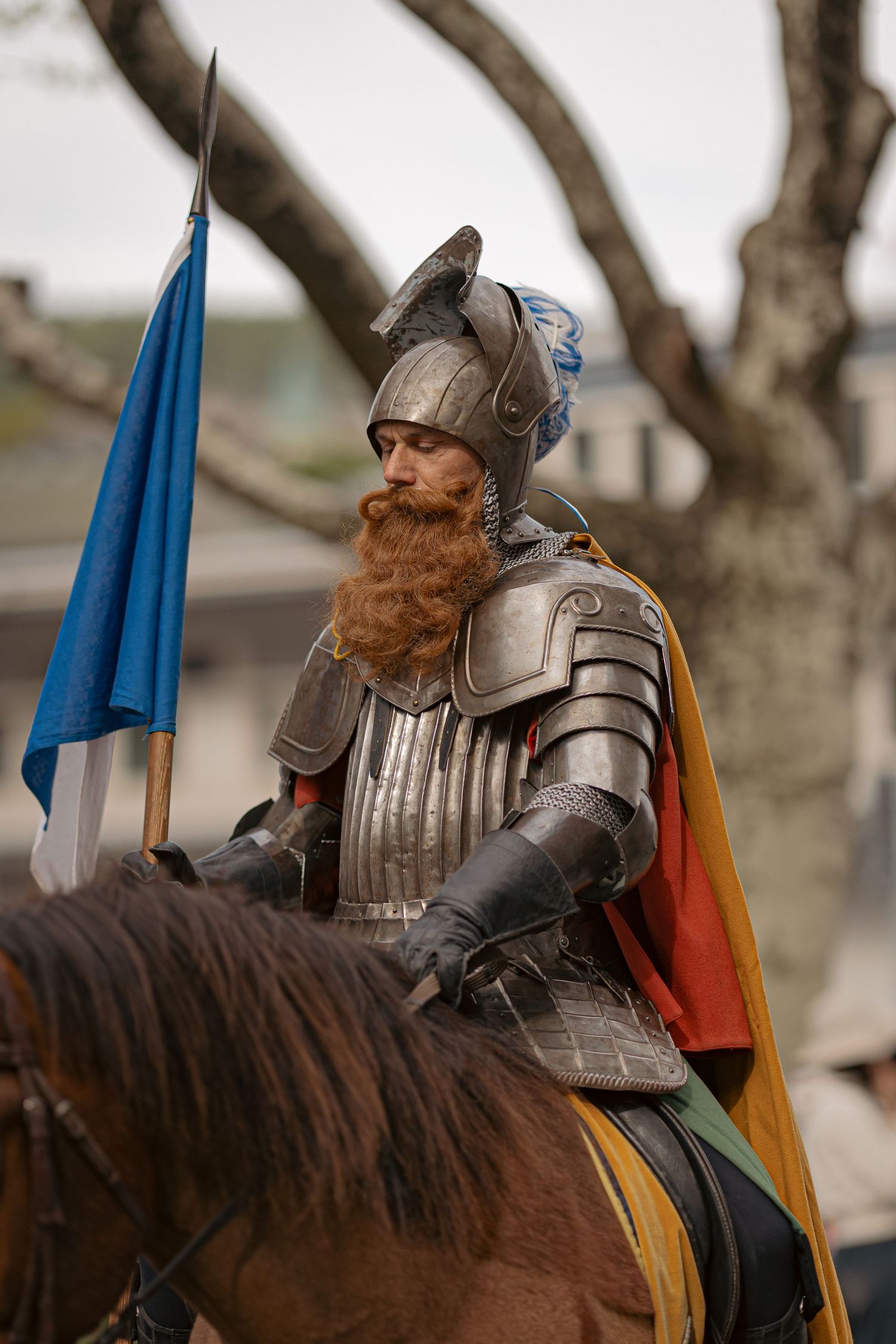 Medieval knight in silver armor with red beard, holding blue flag, riding brown horse at historical reenactment.