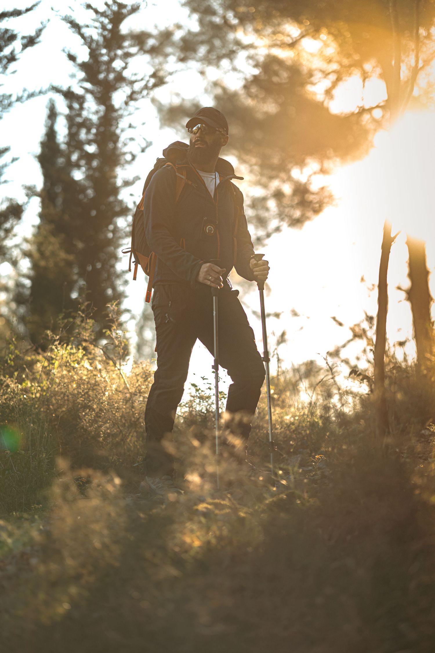Hiker with trekking poles and backpack walking through sunlit forest trail at golden hour.