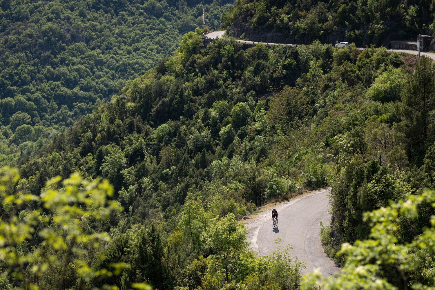 A lone cyclist rides along a winding mountain road surrounded by lush green forested hills on a sunny day.