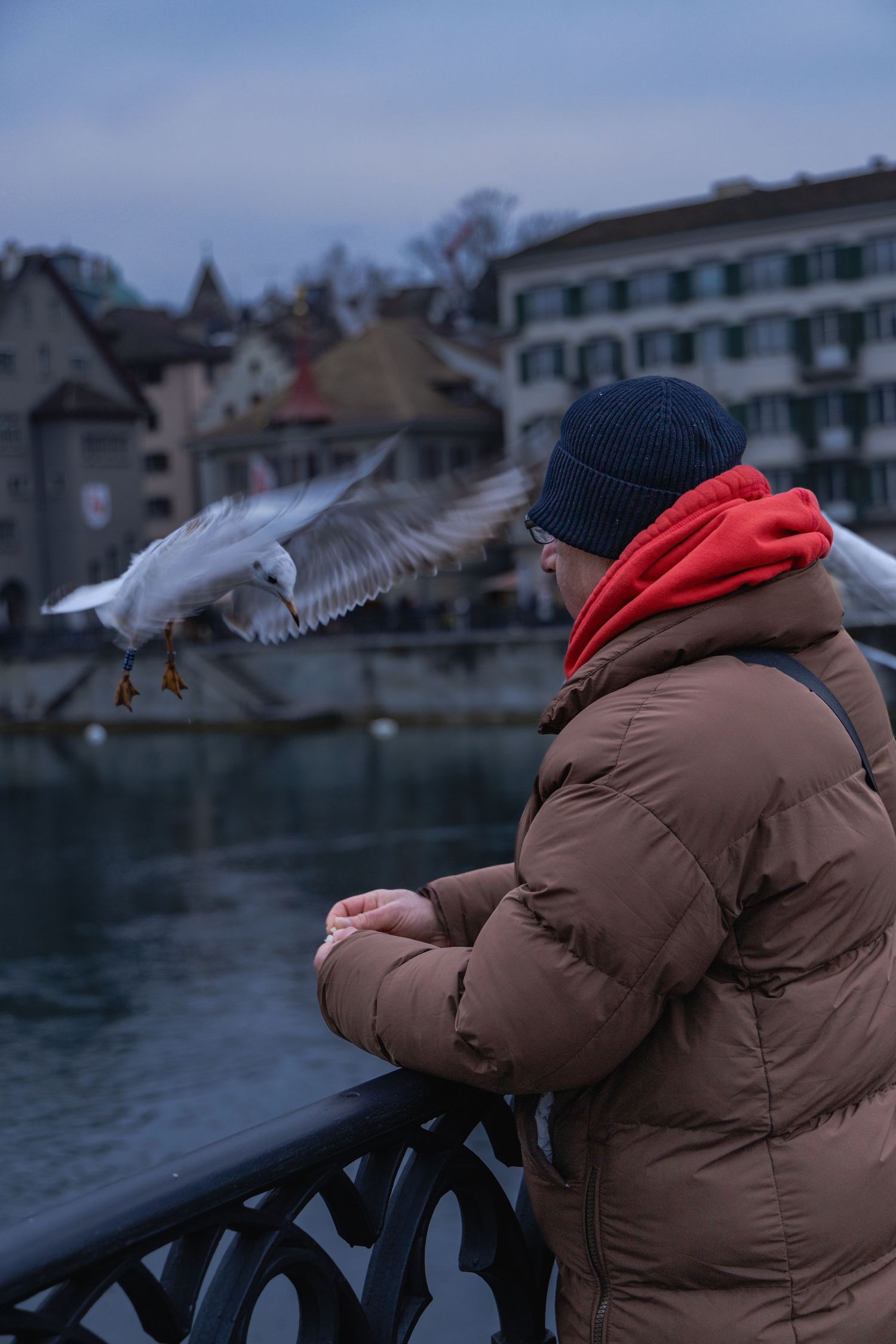 Person in brown winter coat watches seagulls fly over waterfront at dusk.