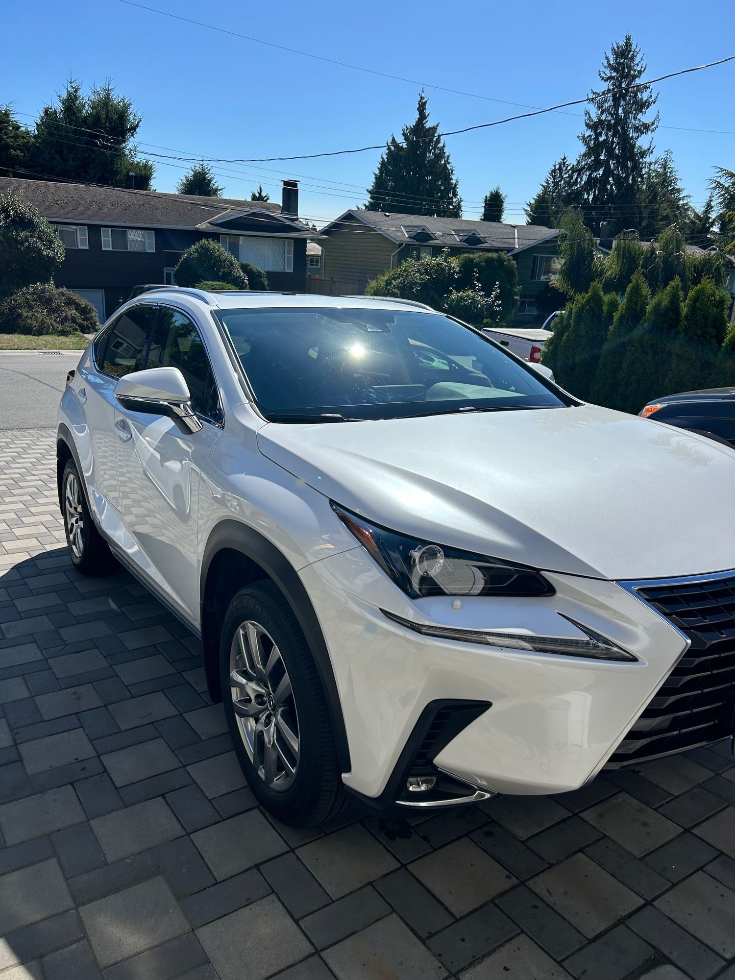 Car Detailing Services in Surrey, Delta, Cloverdale, Langley & White Rock