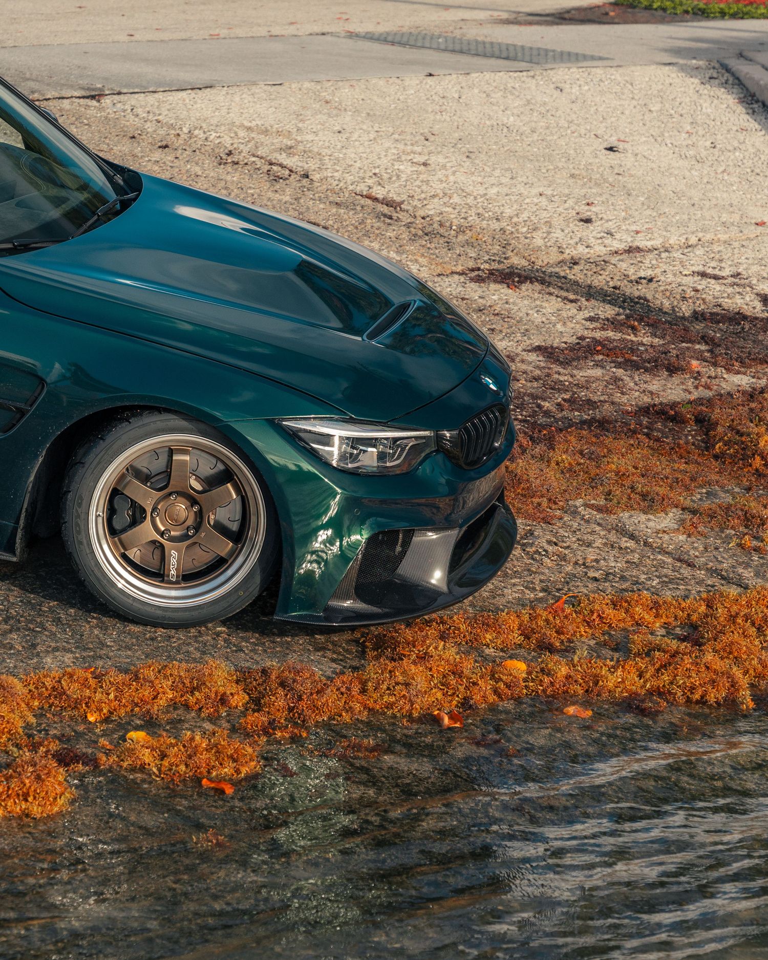 Dark green BMW M4 with bronze wheels parked near water surrounded by orange seaweed on wet pavement.