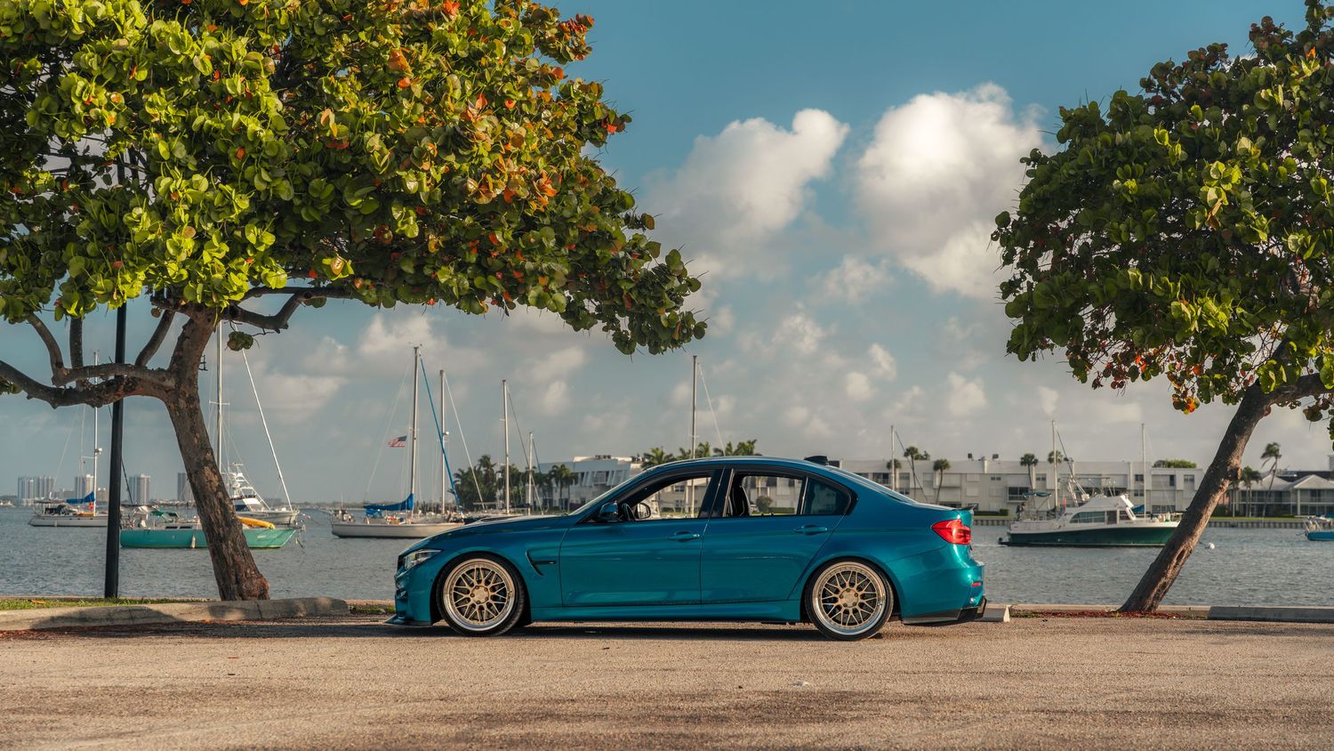 A teal BMW sedan with aftermarket wheels parked near a waterfront marina, framed by tropical trees under a partly cloudy sky.