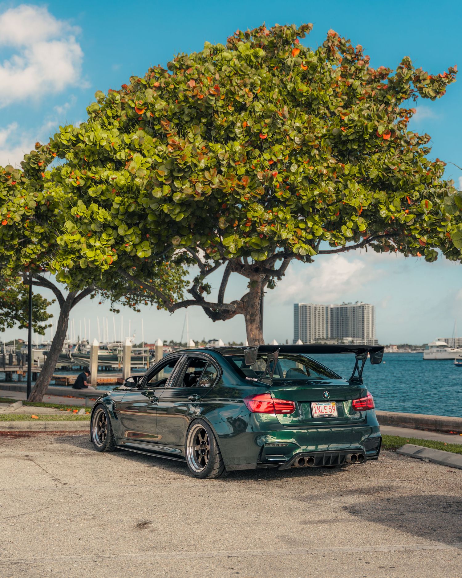 Dark green modified BMW M3 with rear spoiler parked near waterfront under a lush tropical tree on a sunny day.