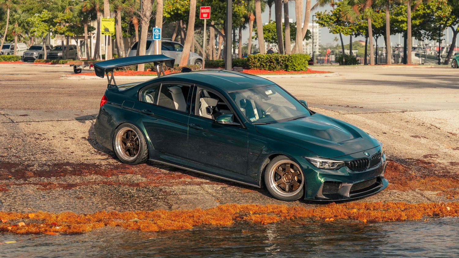 Dark green BMW M3 with wide body kit and rear spoiler parked on urban street surrounded by palm trees.