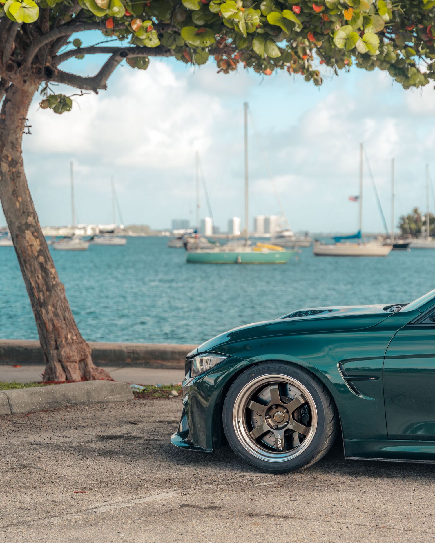 A lowered green BMW parked near a waterfront with sailboats and a tree overhead on a cloudy day.
