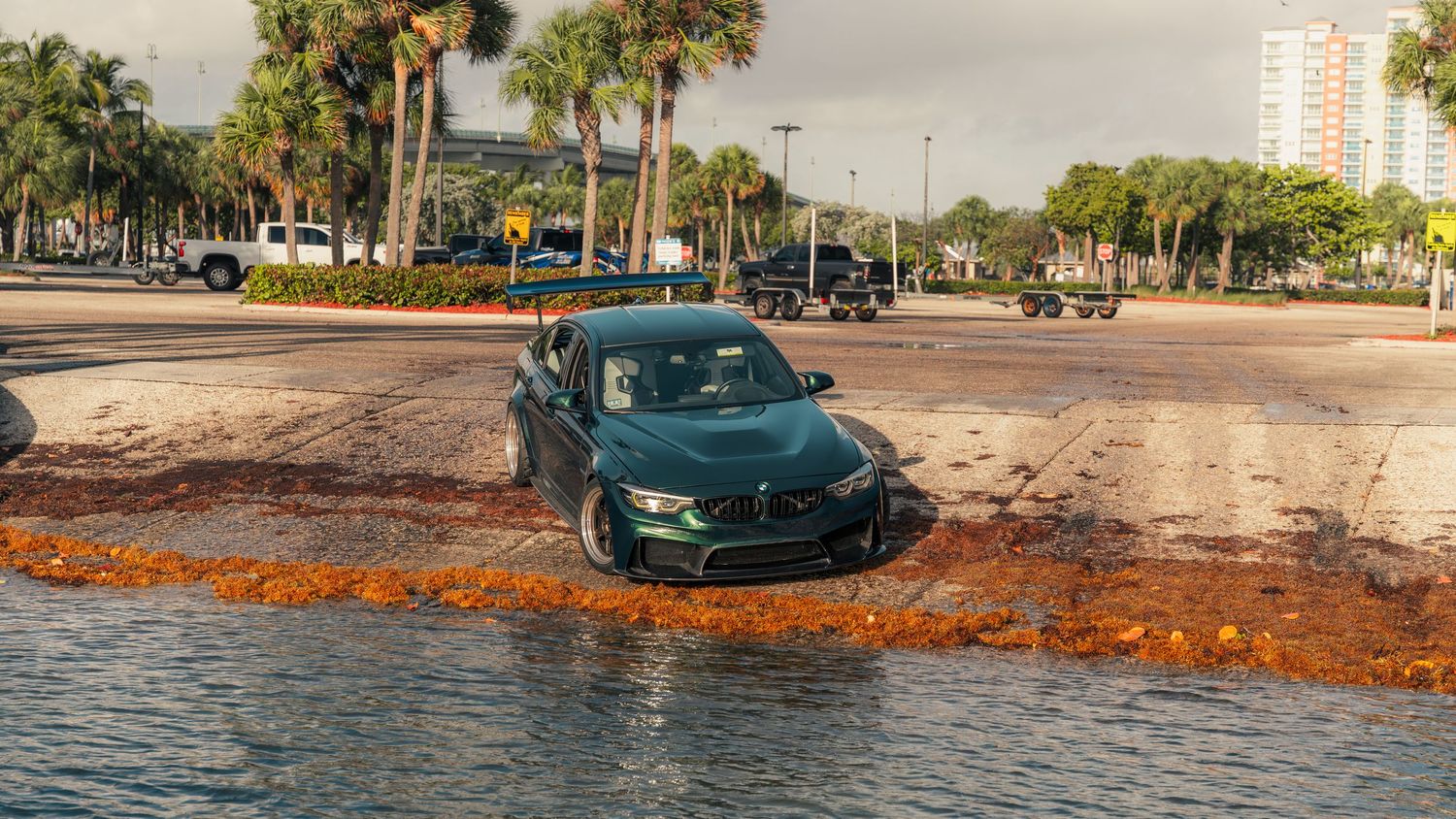 A dark green BMW drives through a flooded street surrounded by palm trees and sargassum seaweed in Florida.