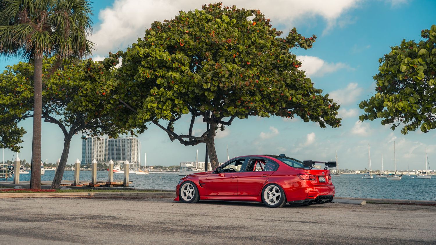 Red modified sports car with large rear spoiler parked near waterfront with lush green trees and city skyline backdrop.