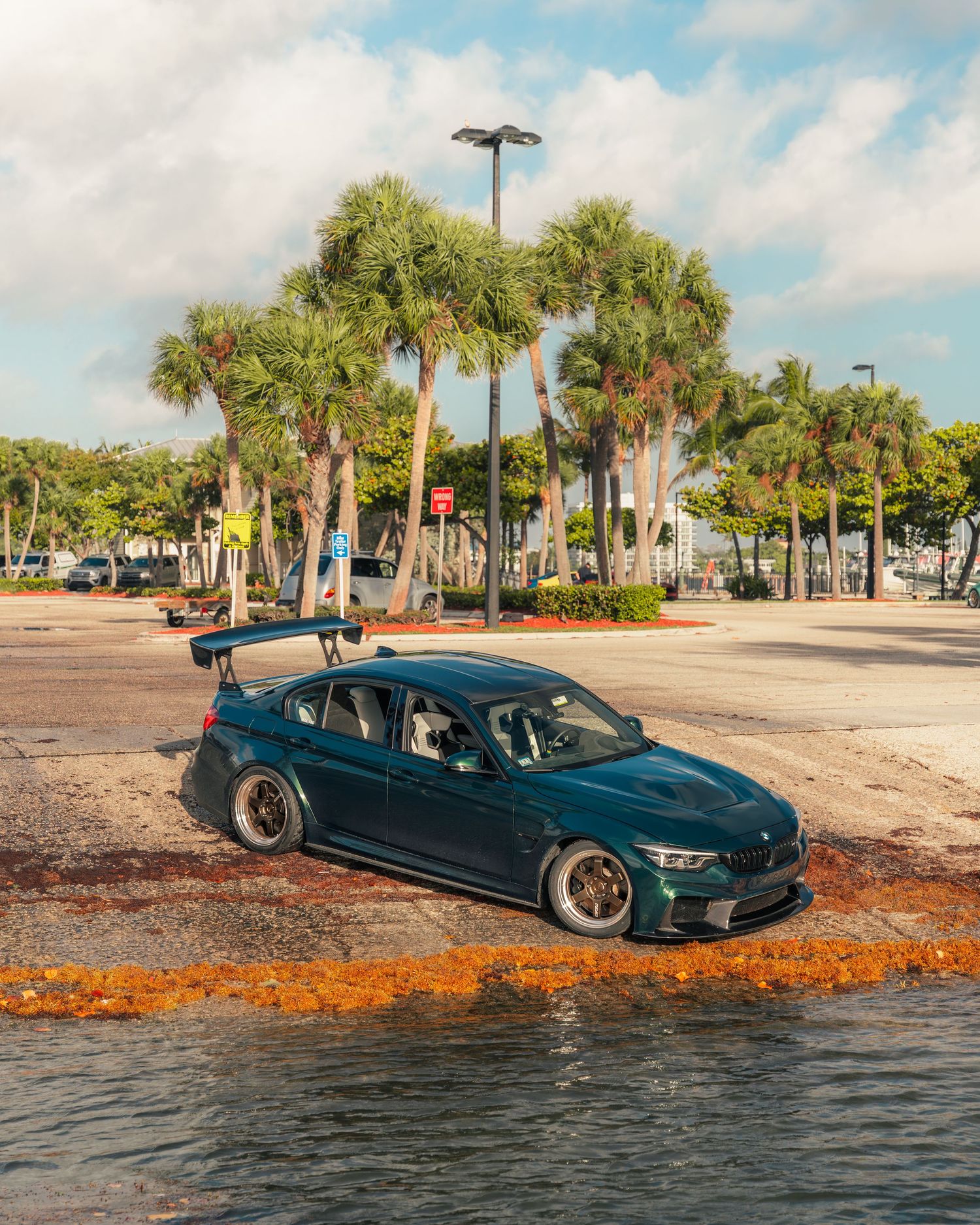 A dark green BMW M3 with a rear spoiler parked near the waterfront surrounded by tall palm trees in Miami.