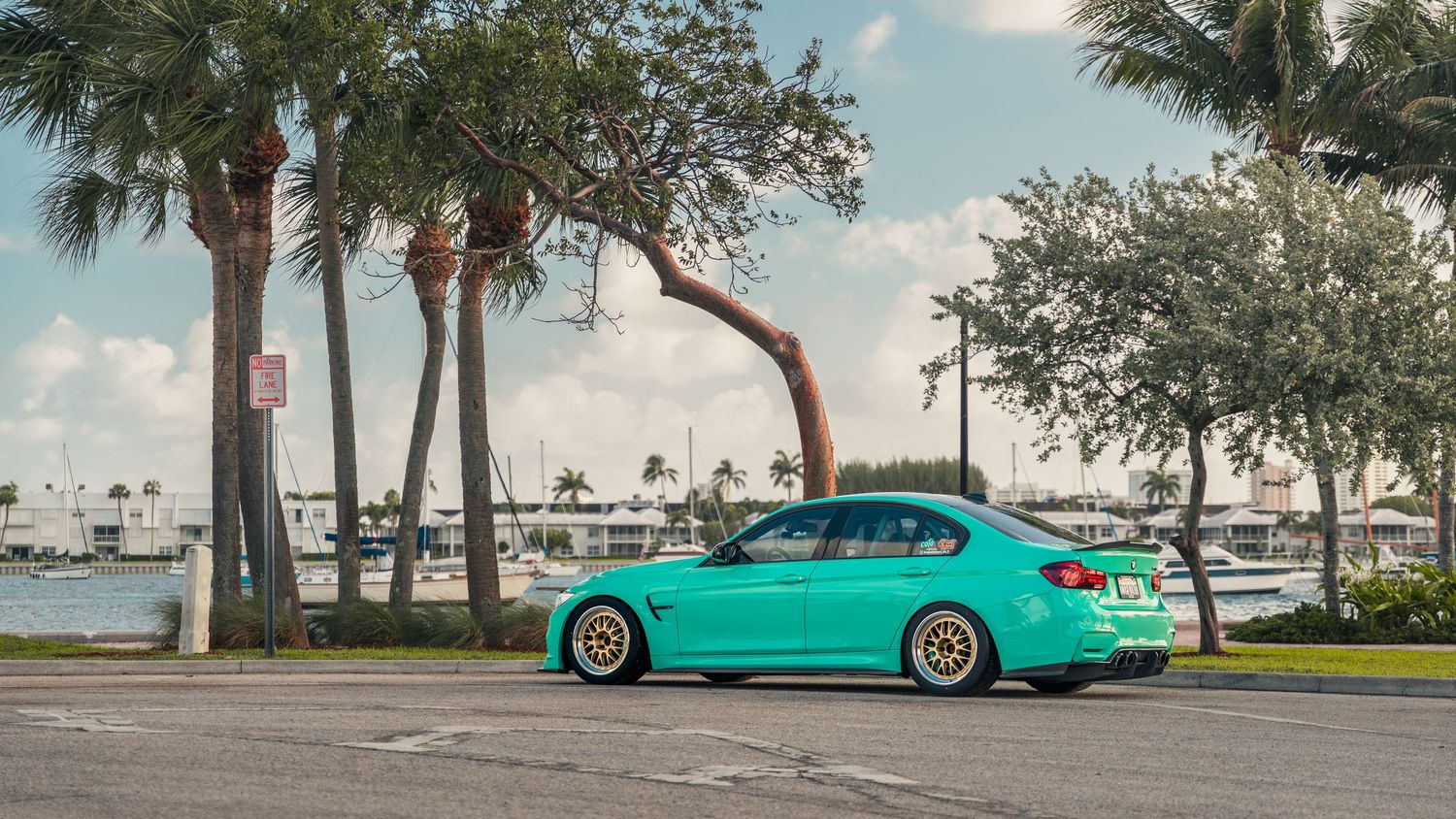 A mint green BMW sedan with gold wheels parked near palm trees and a marina in Miami, Florida.