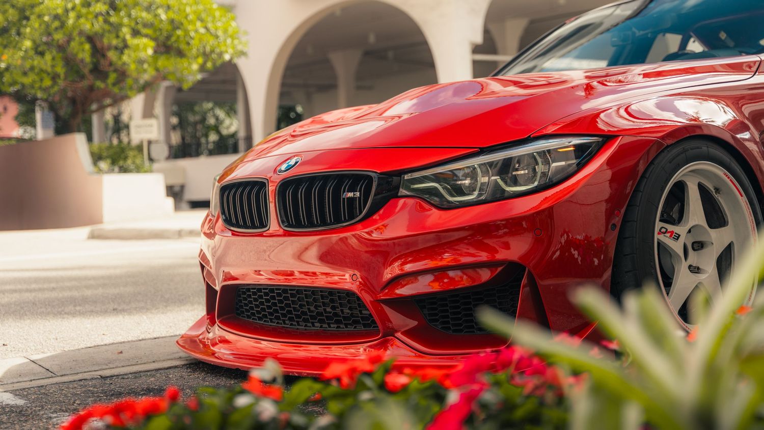 Red BMW M4 sports car with aggressive front splitter and black grille, parked near flowering plants.