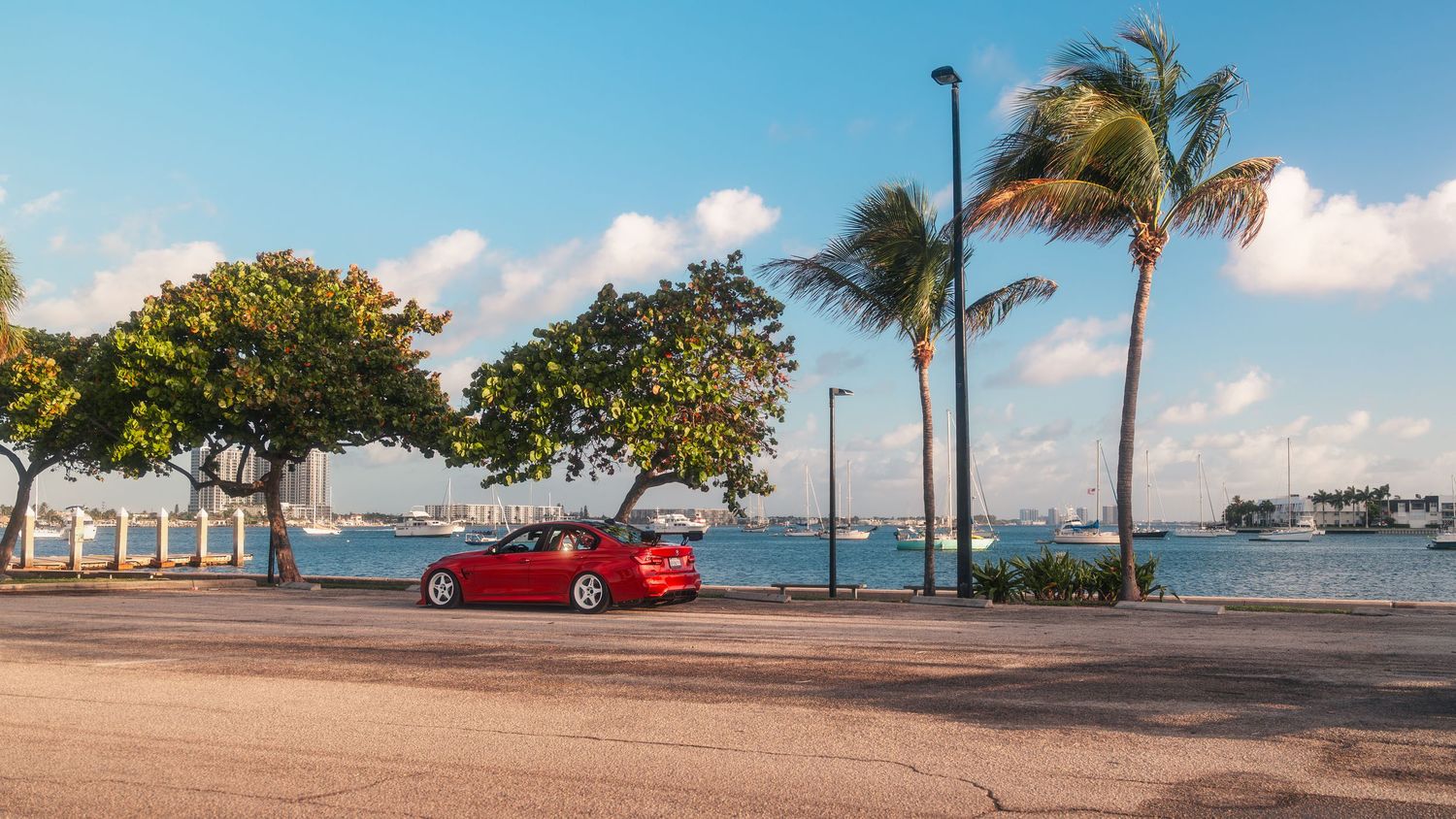 Red convertible car parked near palm trees by a tropical waterfront on a sunny day.
