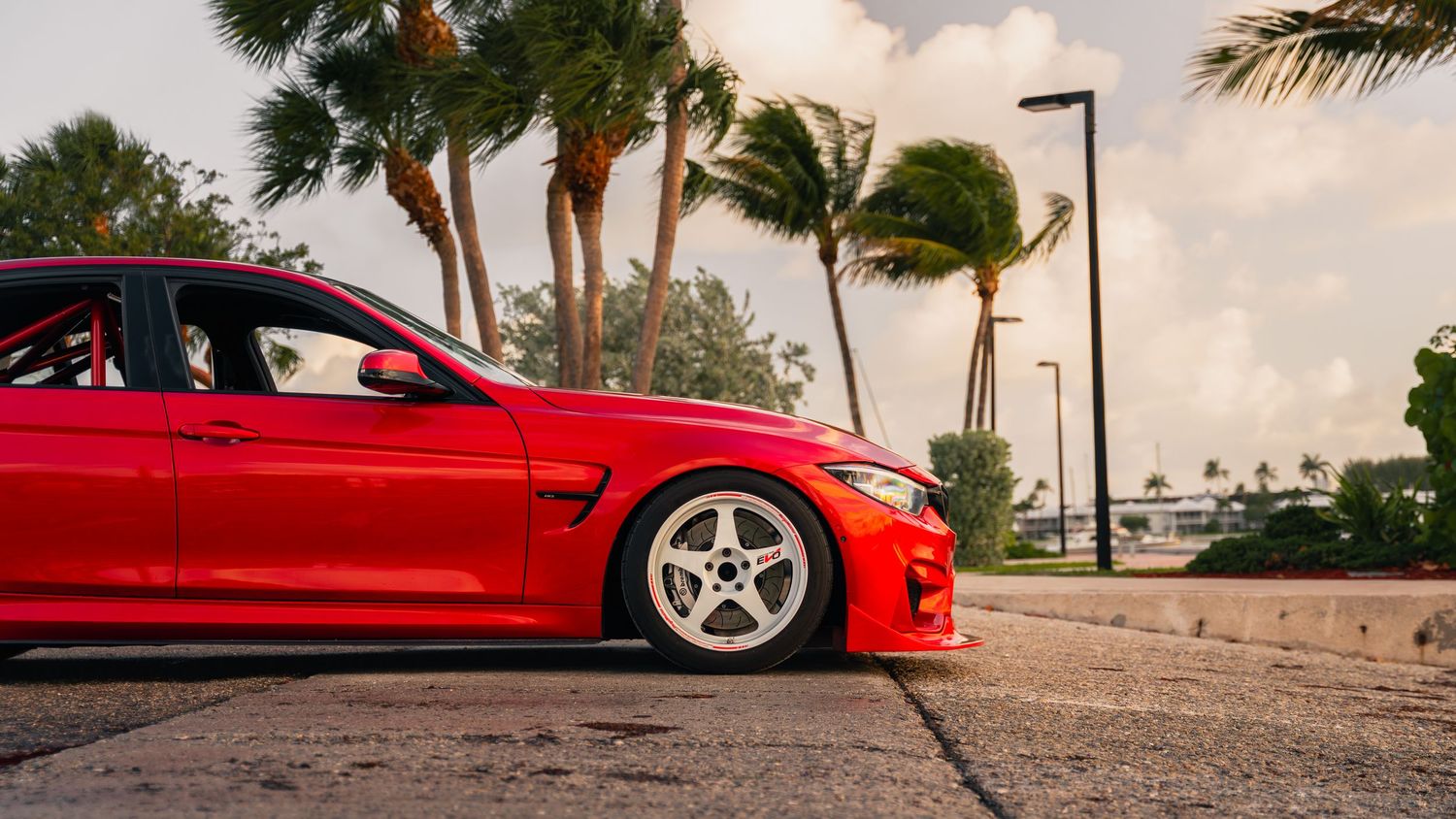 A lowered red BMW sports car with white wheels parked near palm trees on a sunny day in a coastal setting.