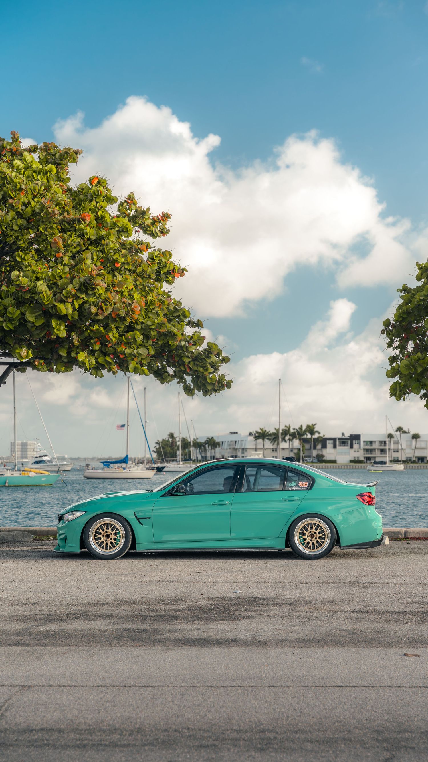 A teal BMW sedan with gold BBS wheels parked near a marina with sailboats, palm trees, and blue sky.