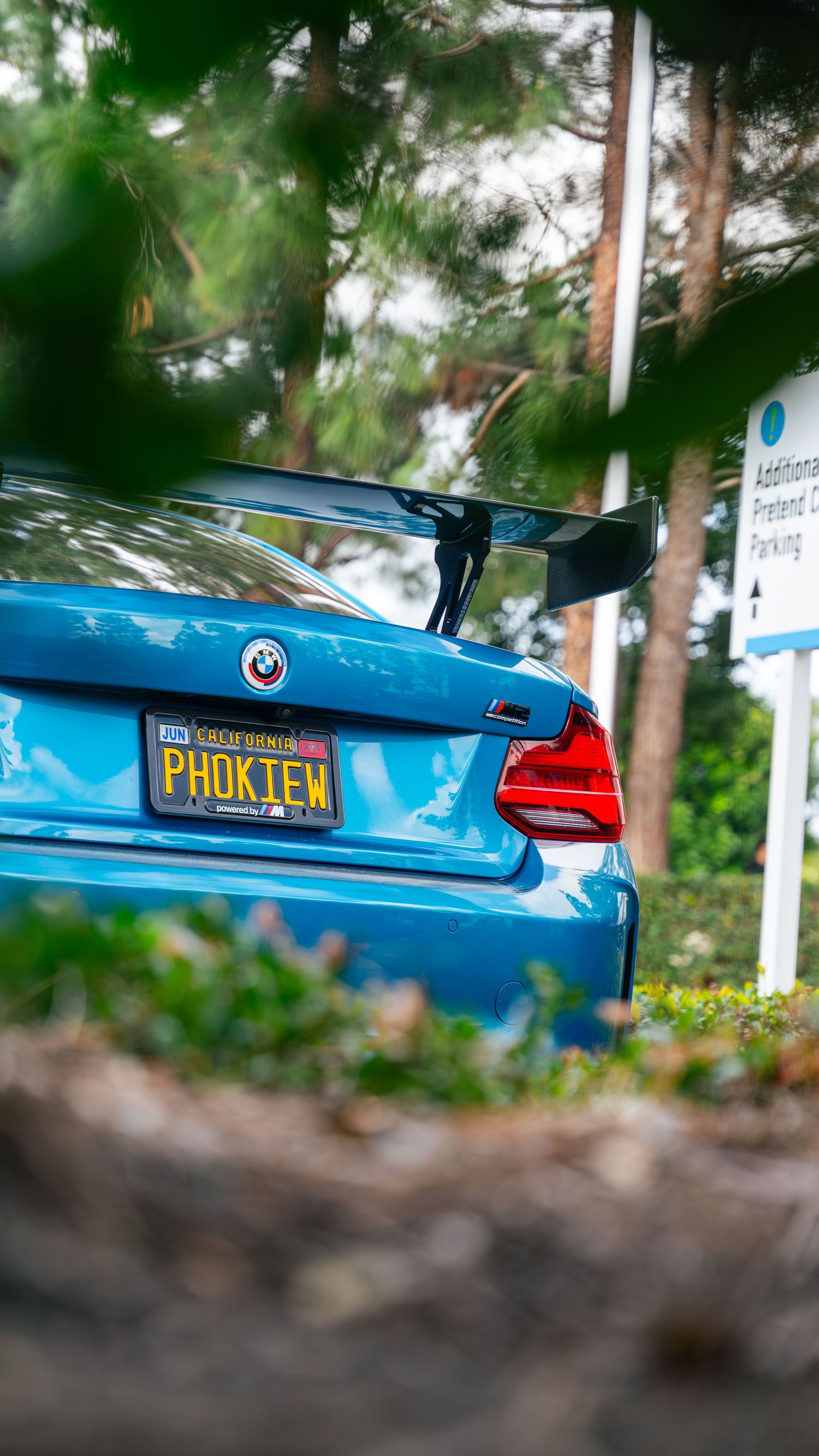 Blue BMW with custom license plate viewed through foliage.