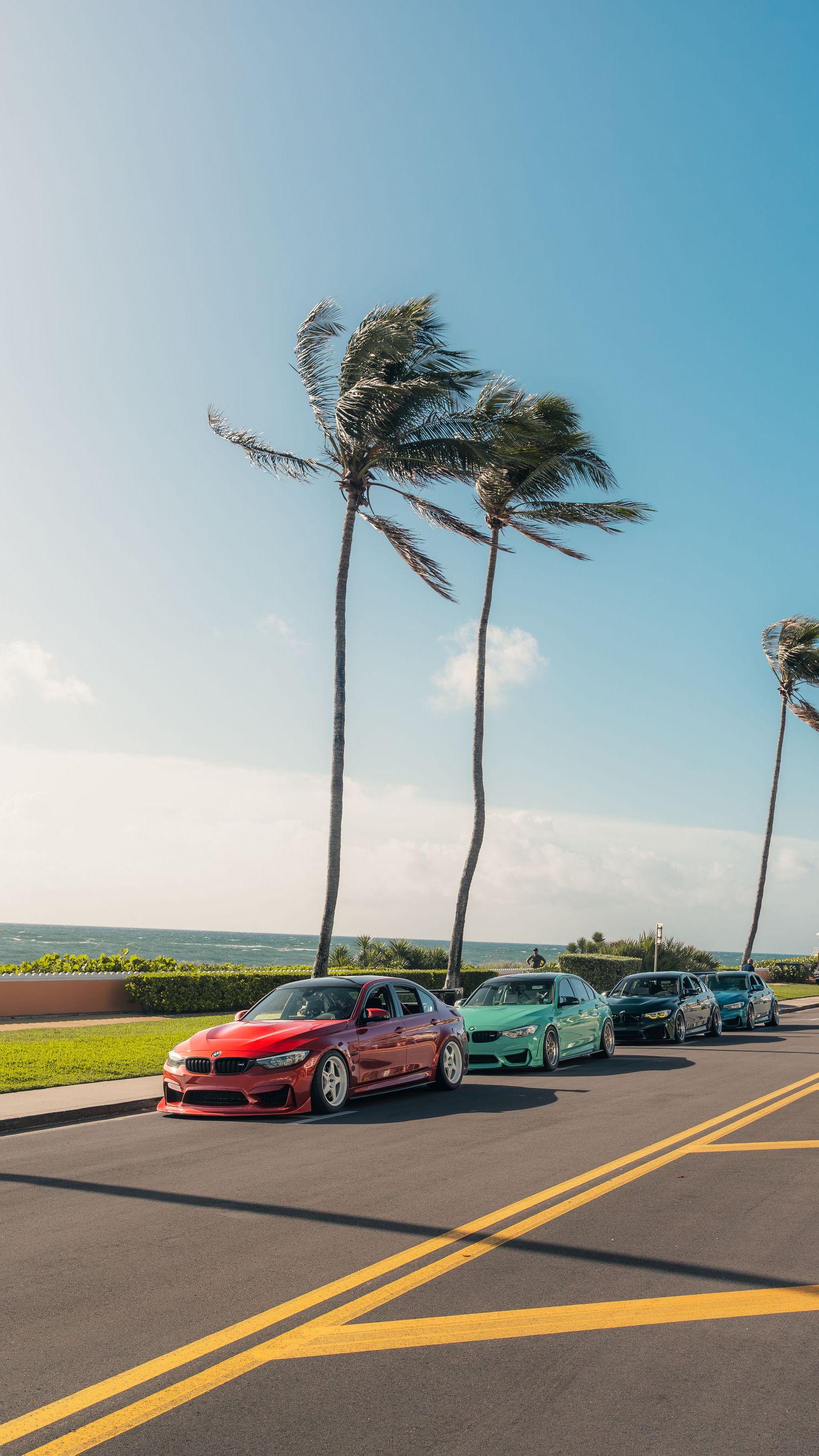 Colorful modified BMW sedans lined up on a coastal road with palm trees swaying in the wind under a blue sky.
