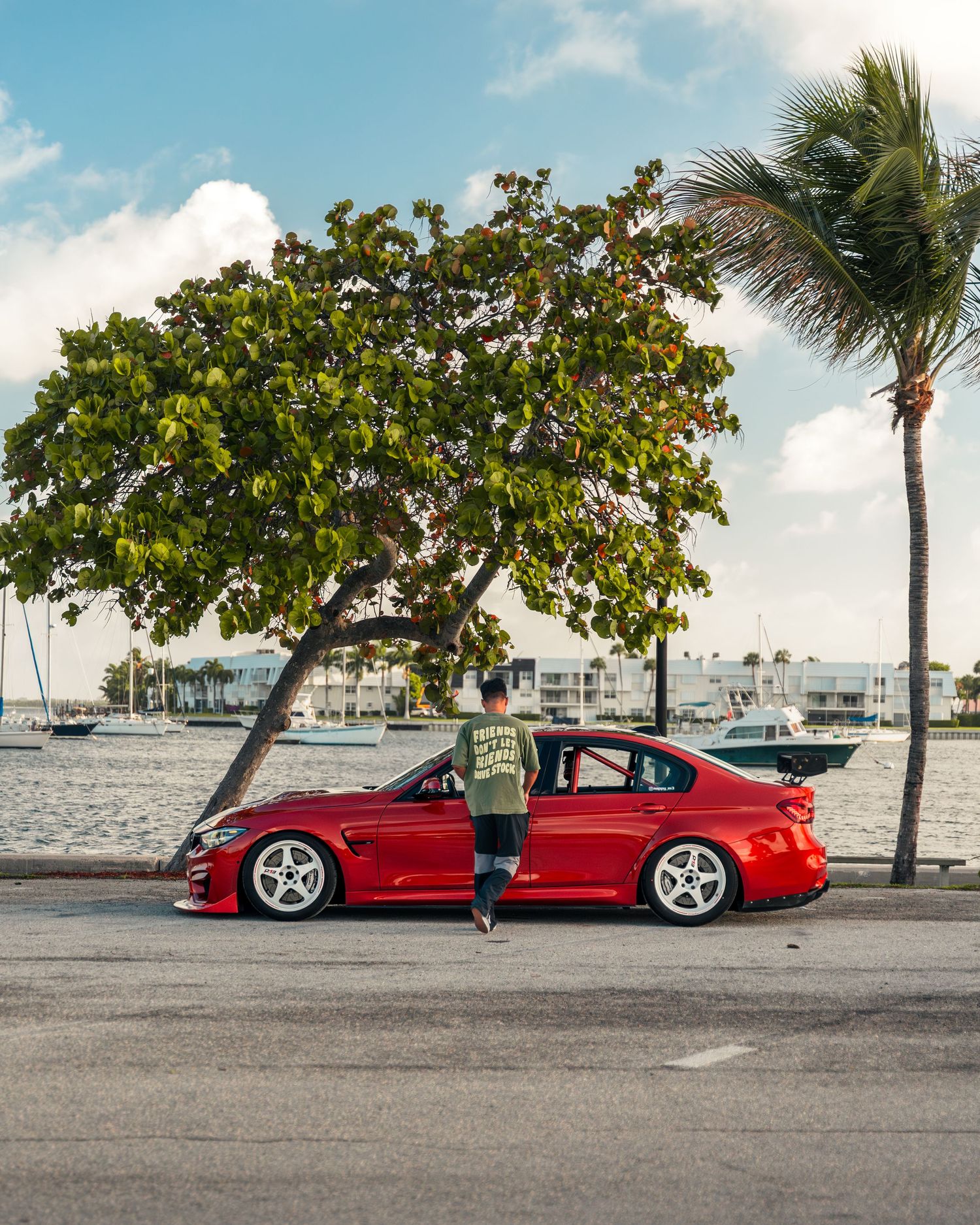 Red BMW sedan parked near waterfront with palm trees, man in green shirt leaning against car on sunny day.