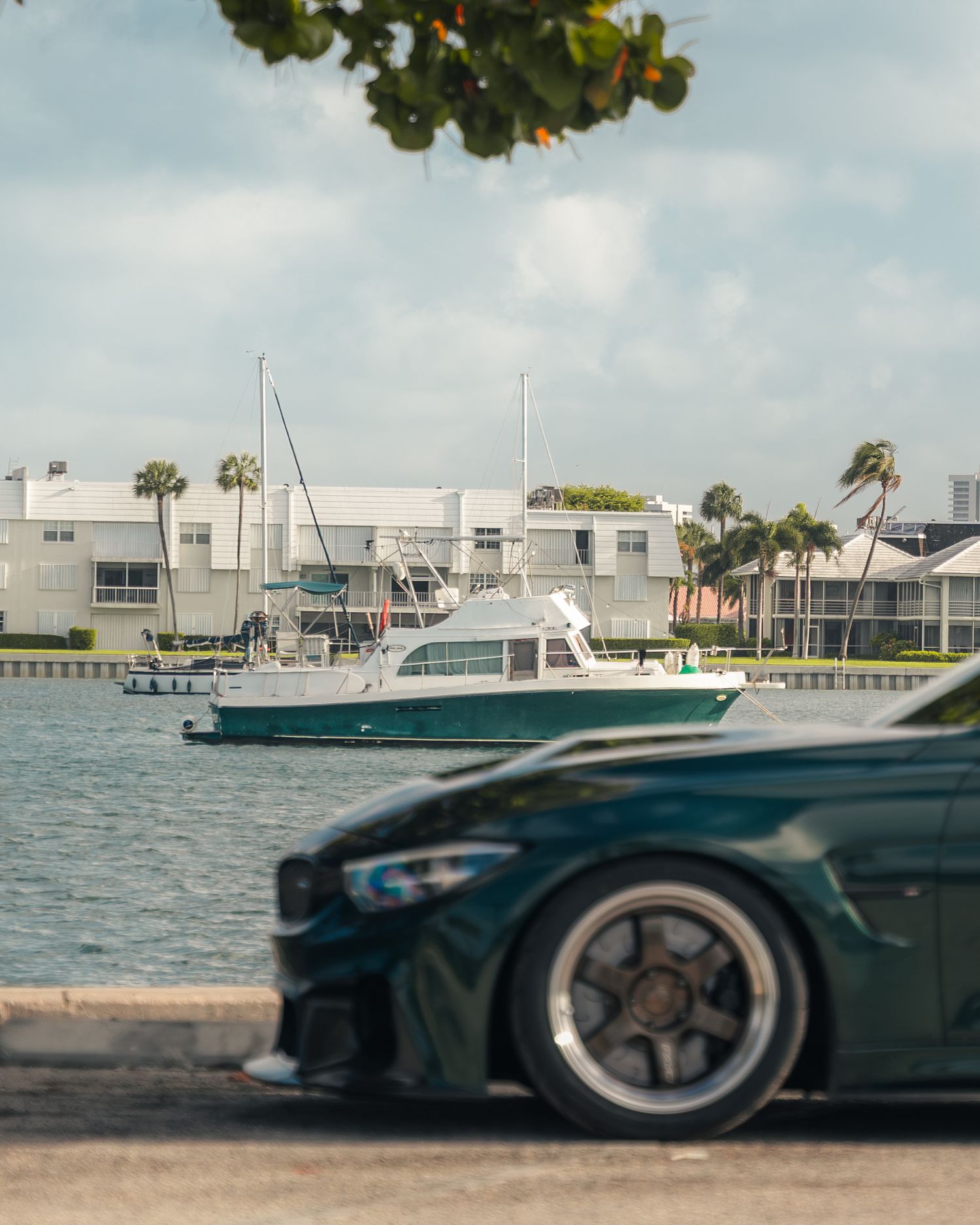 Dark green BMW coupe parked waterfront with a white yacht docked behind, palm trees and buildings in Miami backdrop.