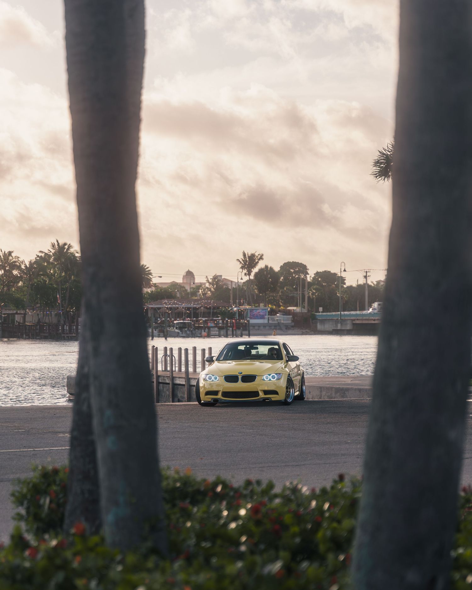 Yellow BMW M3 parked near a waterfront marina, framed by palm trees at golden hour.