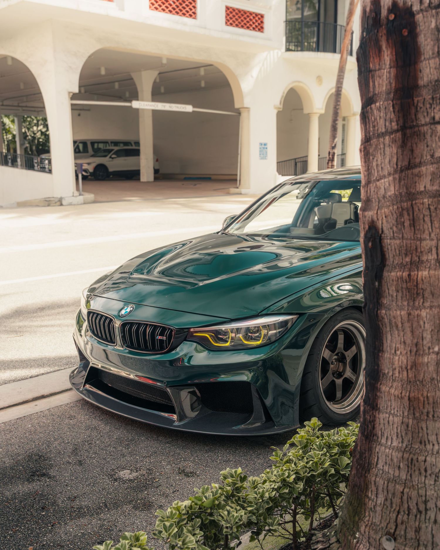 Dark green BMW M4 with aftermarket wheels parked near a tree outside a white building.