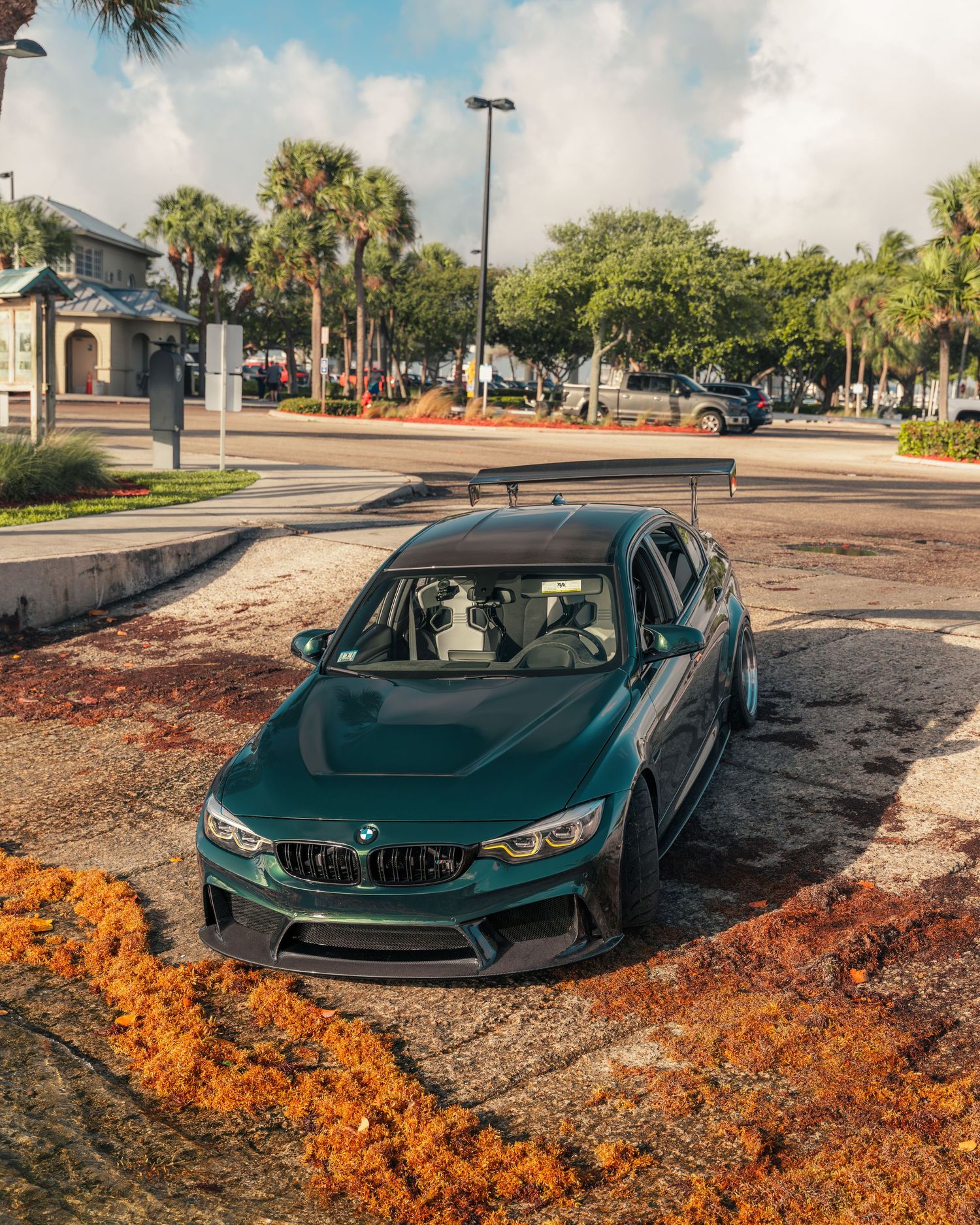 A modified dark green BMW M3 with a rear spoiler parked near a coastal area with palm trees and orange seaweed.