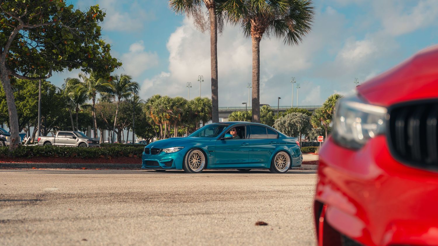 A teal BMW sedan with gold wheels parked near palm trees, with a red car in the foreground.