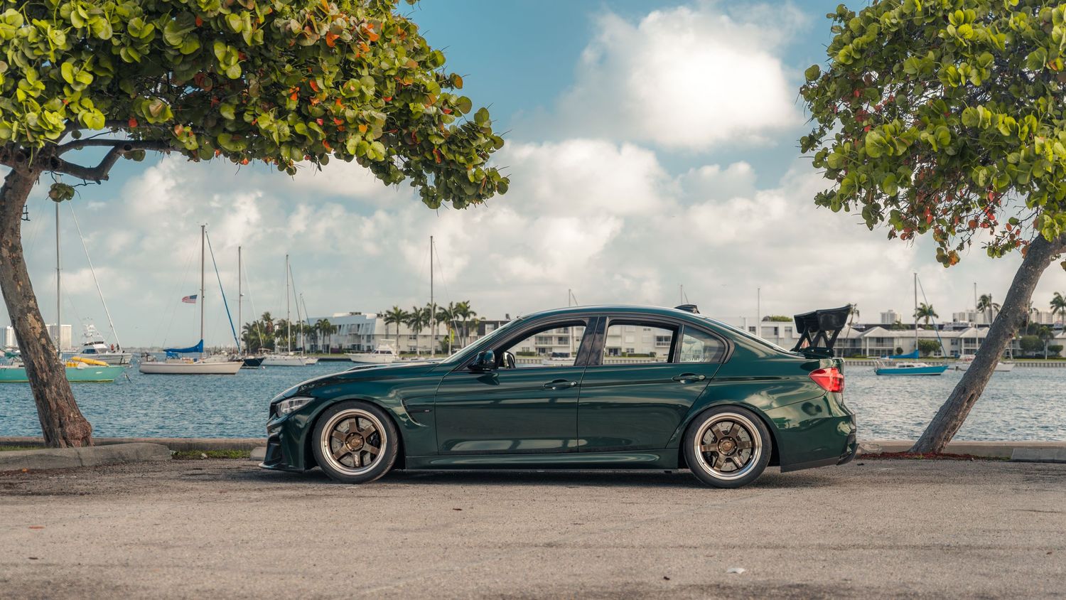 Dark green BMW 3 Series slammed stance build parked harborside with sailboats and tropical trees in background.