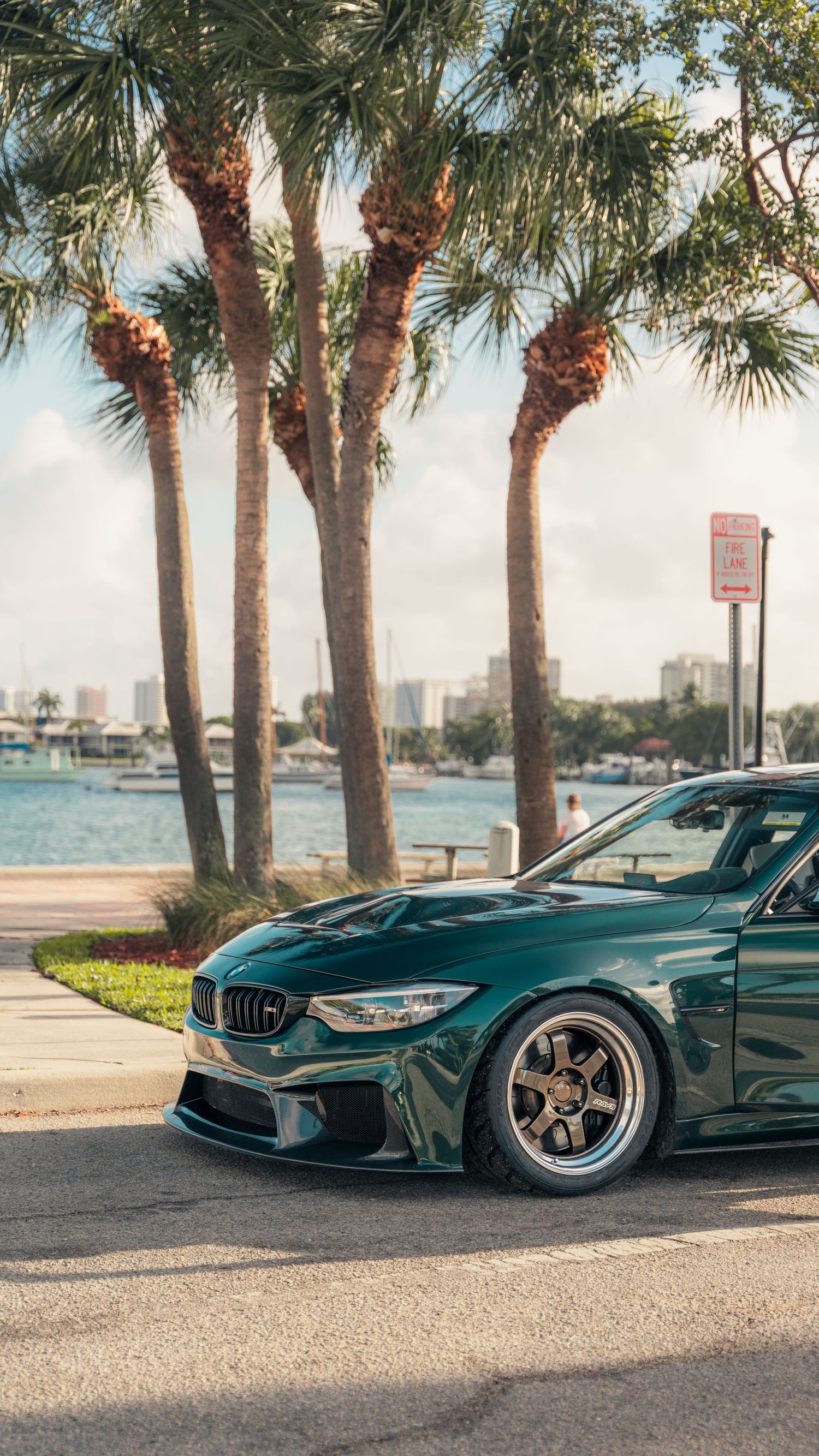 A green BMW M4 parked near palm trees with a waterfront cityscape in the background on a sunny day.