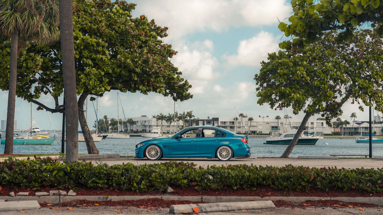 A teal lowered sedan parked near a waterfront lined with palm trees and sailboats on a partly cloudy day.