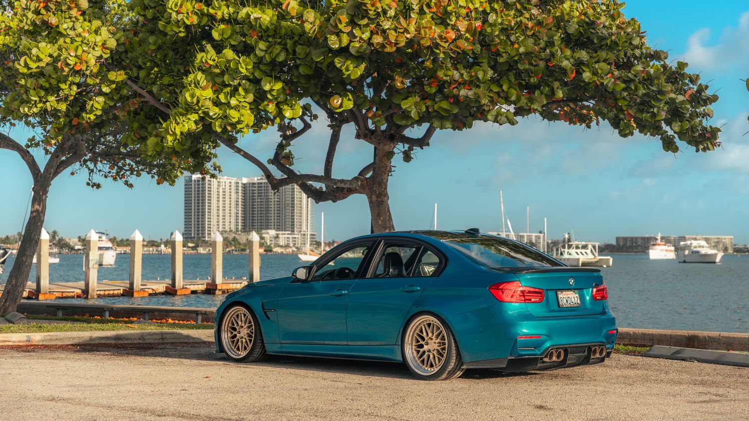 Teal BMW sedan with gold wheels parked near waterfront under lush green trees on a sunny day.
