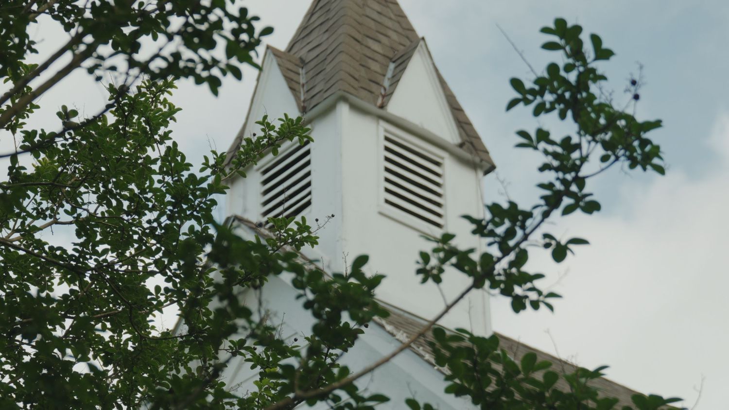White church steeple against blue sky with green tree branches framing the view.