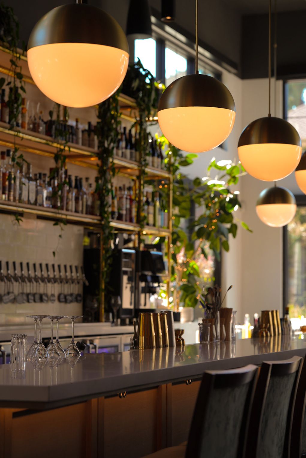 Modern restaurant bar interior with warm pendant lighting, glass stemware, and hanging plants creating an inviting ambiance.