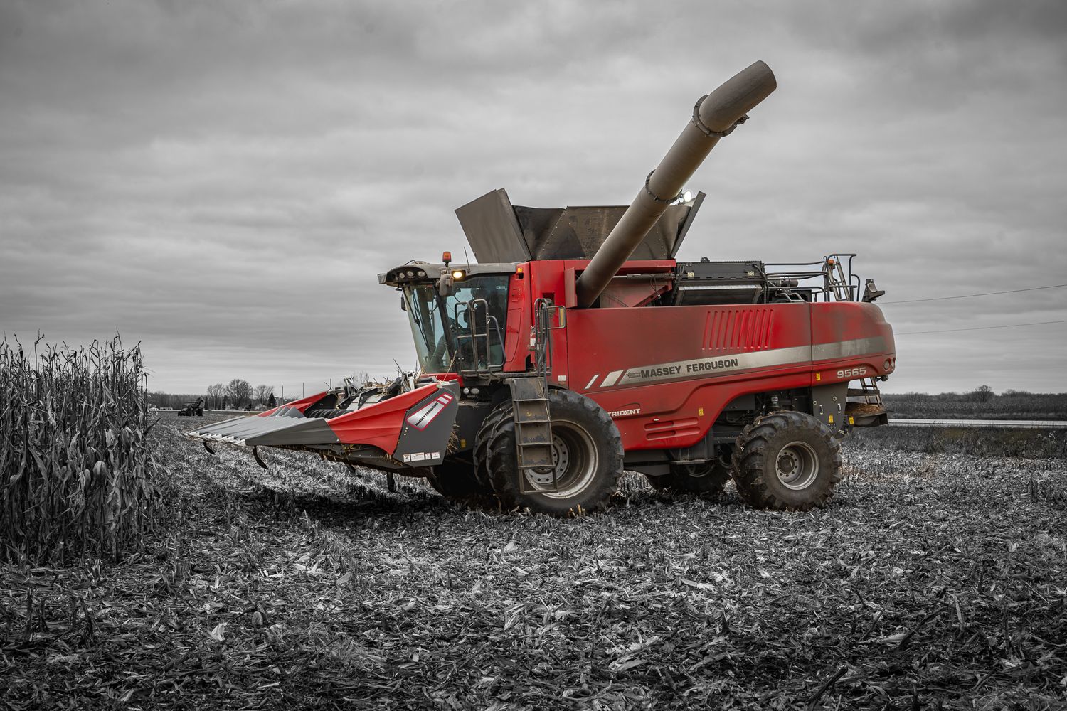 Panoramic view of red combine harvesters working in agricultural fields under dramatic gray skies. Massey Ferguson 9565 Harvesting corn