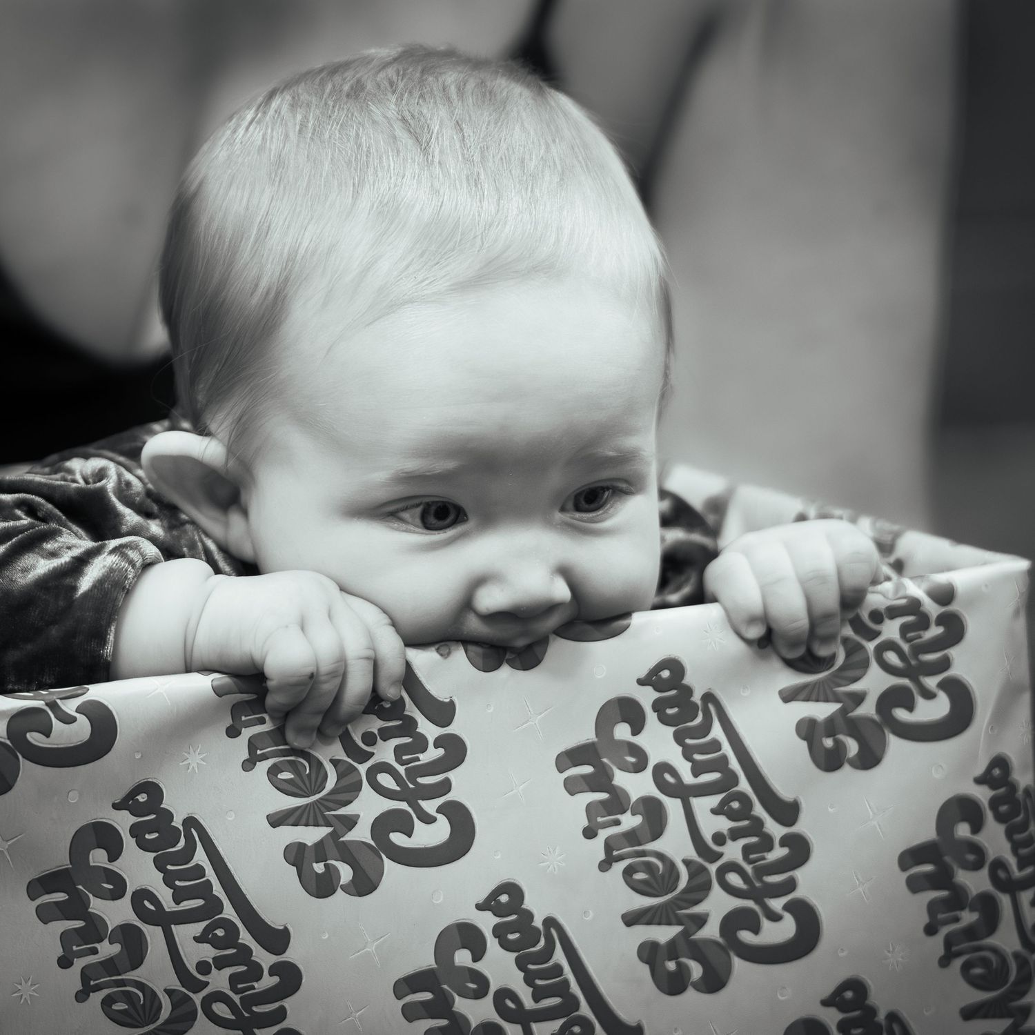 Black and white photo of a cute baby chewing on Christmas wrapping paper.