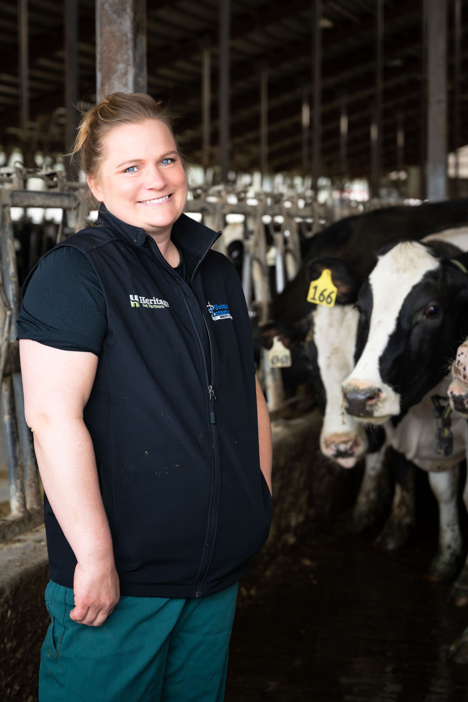 A smiling woman in a black vest stands in a dairy barn beside Holstein cows in a farm setting.